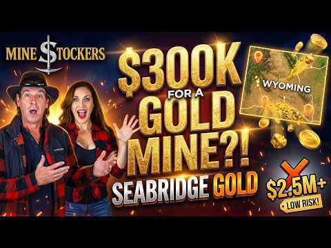 💰 $300K for a GOLD MINE?! 𝕊𝕖𝕒𝕓𝕣𝕚𝕕𝕘𝕖 𝔾𝕠𝕝𝕕's WILD Wyoming Gamble! ⛏️🇺🇸 | NewsFlash