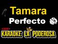 Tamara   Perfecto Karaoke