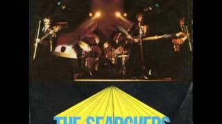 Searchers - I Don&#39;t Want To Be The One