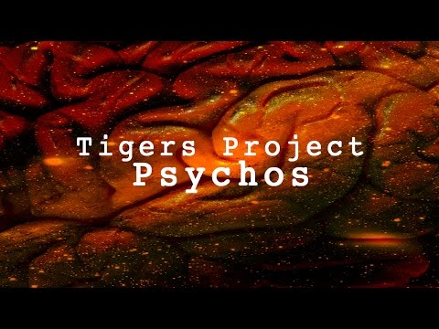 Tigers Project - 