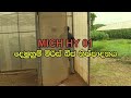 Agriculture Demuhu Miris Beeja Nishpadanaya E Thaksalawa