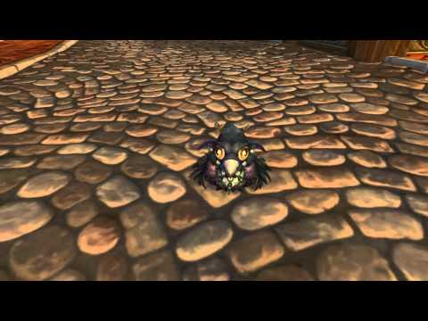 New Lil' Ragnaros and Moonkin Hatchling pets