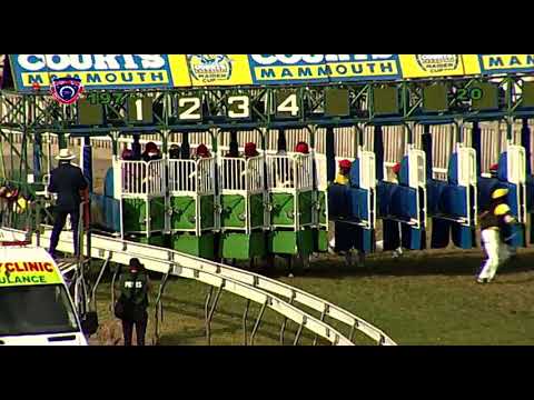 The Courts Mammouth Maiden Cup | ALSHIBAA | C.Segeon | RM Stable