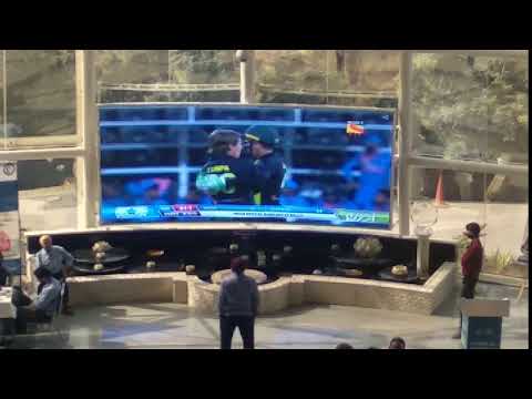 Full color Outdoor Flexible LED Screen, Module Resolution: 64x 64 mm (wxh) video by Pixel Led Wall (OPC) Private Limited