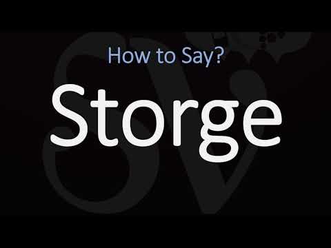 How to Pronounce Storge? (CORRECTLY, LOVE) Meaning & Pronunciation