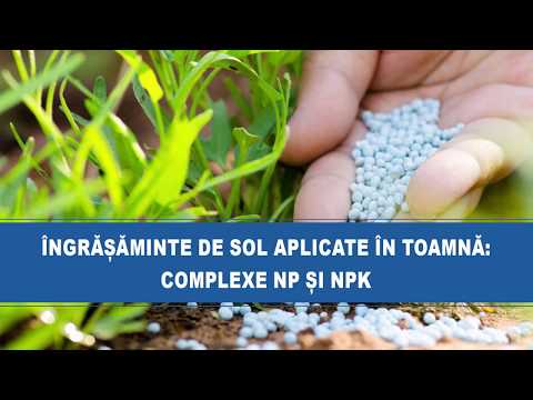 medicina parazitară trei papilloma gengivale cause