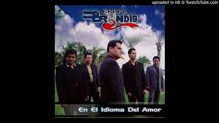 Quisiera Olvidarte Lyrics English Translation
