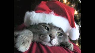 Lasst uns froh und munter sein (Winter-/Weihnachtslieder part 3)