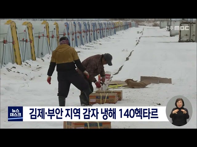 김제, 부안 지역 감자 냉해 입어