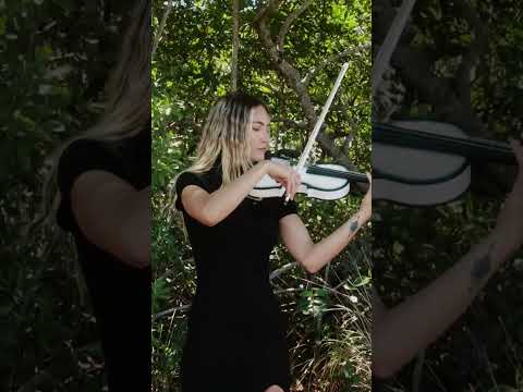 Promotional video thumbnail 1 for LauCoustic