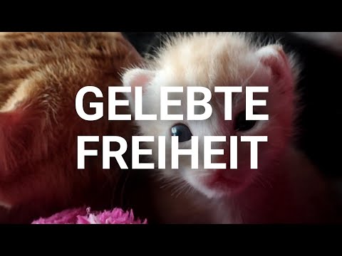 SELBSTVERSORGUNG IST PURE FREIHEIT - Machen Was Das Herz Verlangt