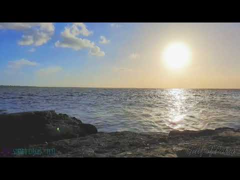 Views from Faralon Rock, Gulf of Paria, Trinidad
