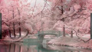 Lunapop Cesare Cremonini Vorrei   ღ ღ Tutto L' Amore Che Ho Dentro ღ ღ