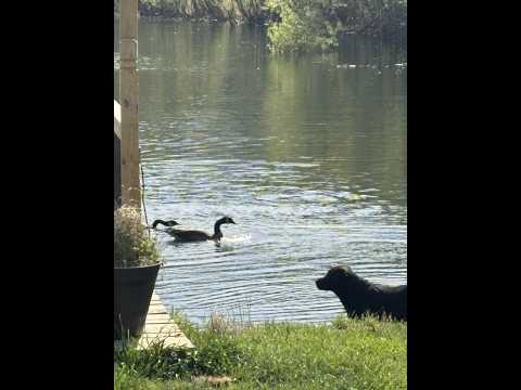 Don and Diane Shipley LIVE -April 12th at 180 Thumbnail