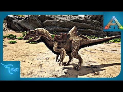 CARA MUDAH TAMING CONCAVENATOR || Ark Survival Evolved Indonesia