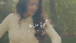 كلمات اغنية شجرة مزينة كارلا شمعون