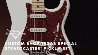 Wow nice, what is tone played in to - Fender Custom Shop Texas Special Strat Pickup Set | Fender
