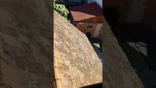 Sibian sub teroarea unui vecin de ani întregi - „Mă amenință că aruncă cu fecale pe ferestre” 1 video
