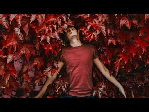 DeepDaddy - KVITKA (ПРЕМ'ЄРА кліпу 2024)