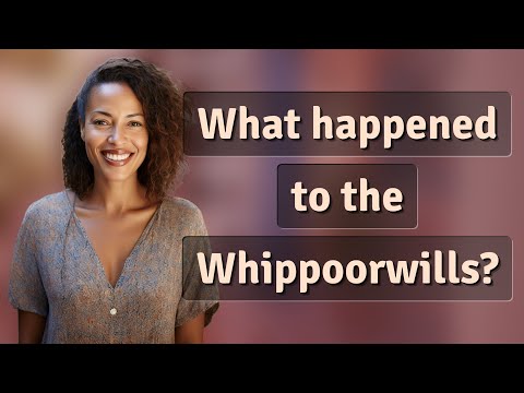 What happened to the Whippoorwills?