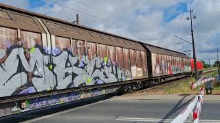 193 399 Vectron DB Cargo z krytymi do Łodzi 30.08.2025 Krotoszyn