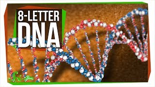 New 8-Letter DNA Rewrites the Genetic Code | SciShow News