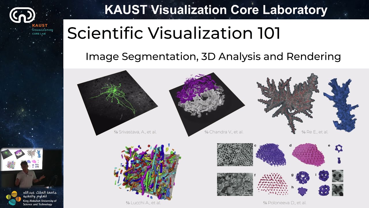 Scientific Visualization 101: Introduction to Image Segmentation, 3D Analysis and Rendering