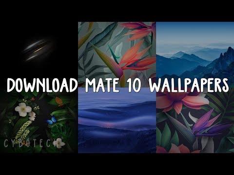 How To Download Huawei Mate 10 Wallpapers In Any Android Phone