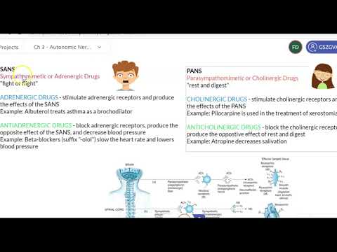 Autonomic nervous system - Part 3 (recap)