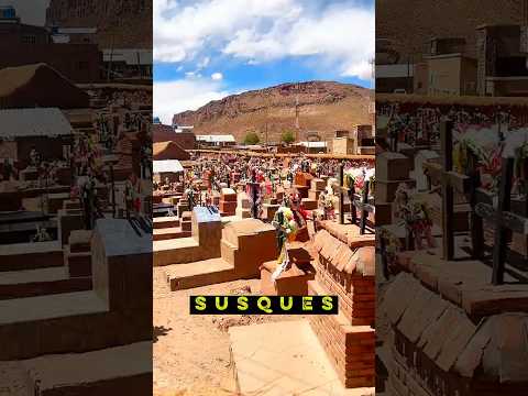 SUSQUES🏜️ PUNA JUJEÑA😍 #motorhome #jujuy