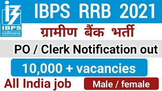 IBPS RRB notification 2021 | IBPS RRB recruitment | IBPS clerk vacancy | bank PO notification 2021 |