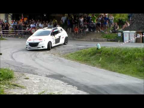 54° Rally Coppa Città di Lucca 2019 M. Friz - D. Bertini Peugeot 208 R2B Next Racing