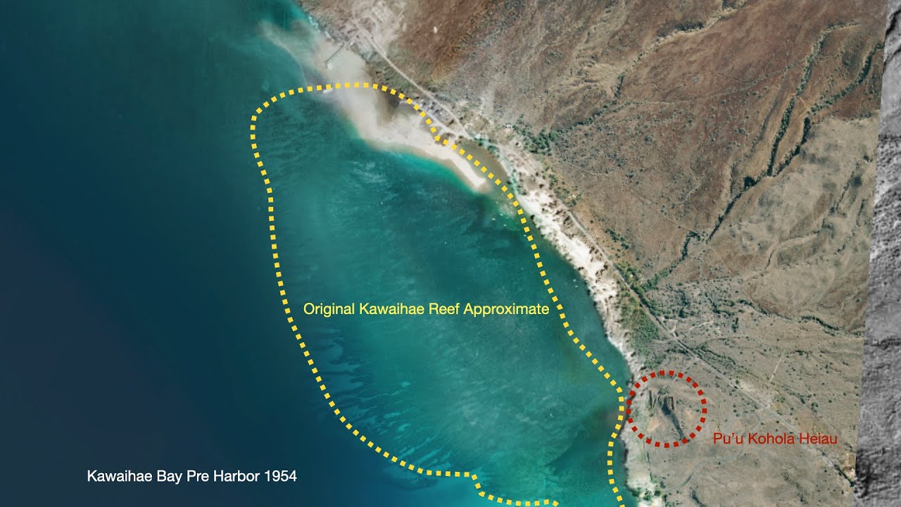 Kawaihae Reef, a fragile resilience video