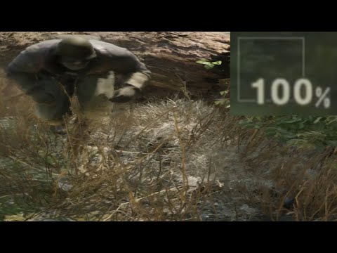 Thoughts on Fox Hunt after 20 hours