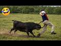 Try Not To Laugh Top 100 Funniest Videos Ever Memes Epic Fails Pranks Compilation 2026 Part 4