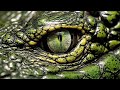 MEGA CROCODILE FULL MOVIE ACTION