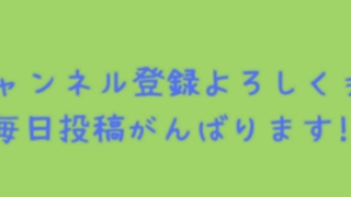 けっきょくこれ