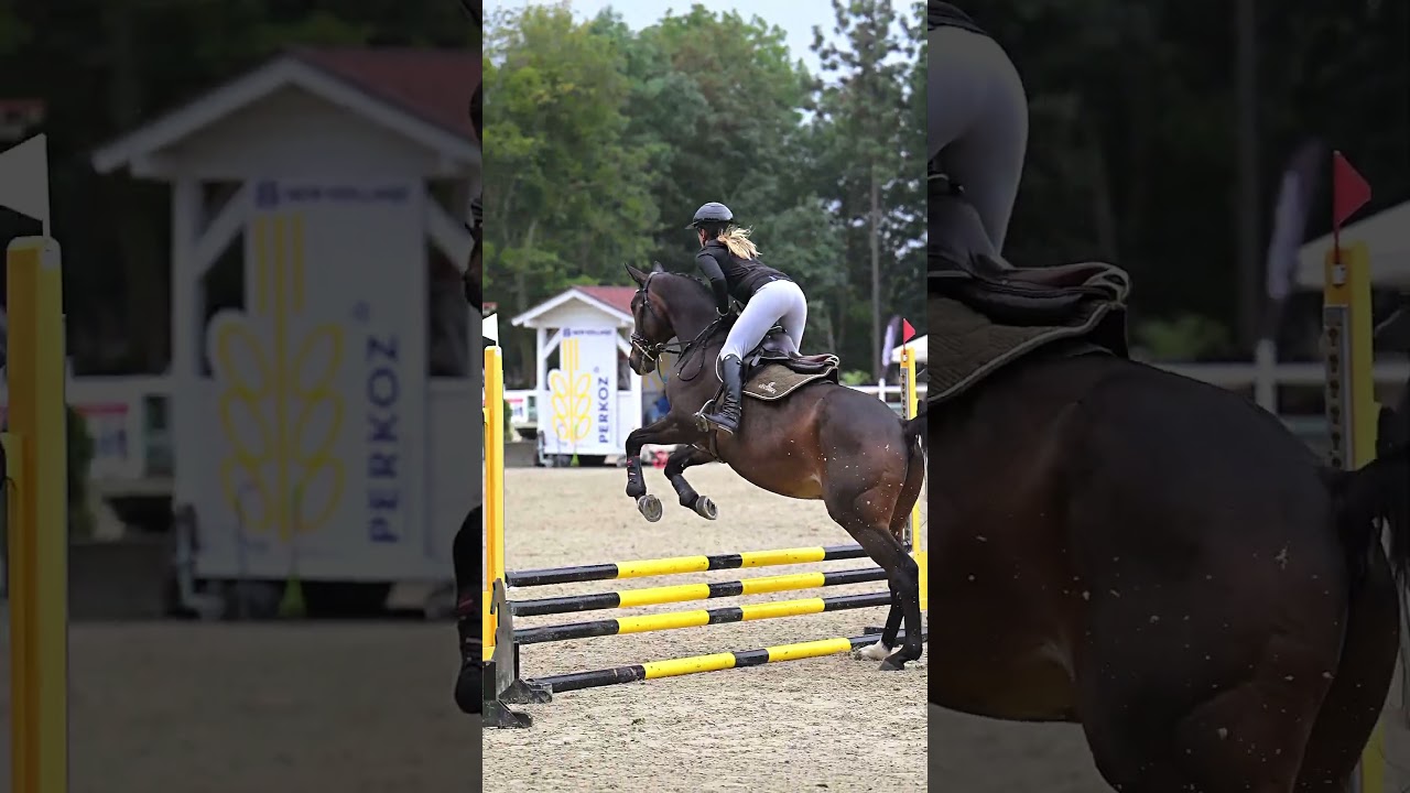 Esser AA video 1