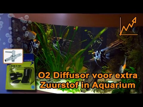 Watch Video on YouTube