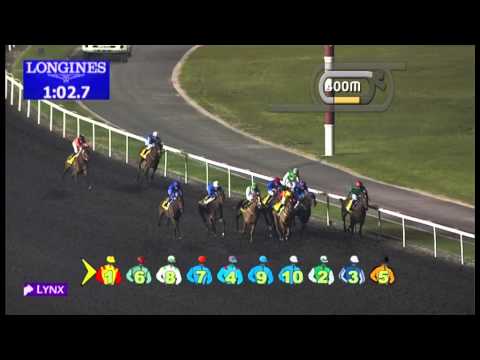 17.01.2013 Meydan (Dubai-UAE) 3.Race UAE 1000 Guineas Trial - 1.400 m