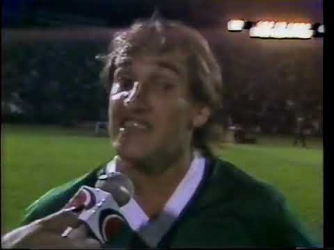 Campeonato Brasileiro 1991    Palmeiras   vs   Vasco