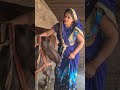 Cow Cattle Buffalo Farming Purevillage Cowlover