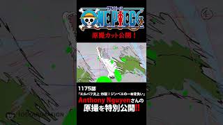 アニメ「#ONEPIECE」見放題配信への追加は木曜日‼️1174話‼️ #onepiece #原撮