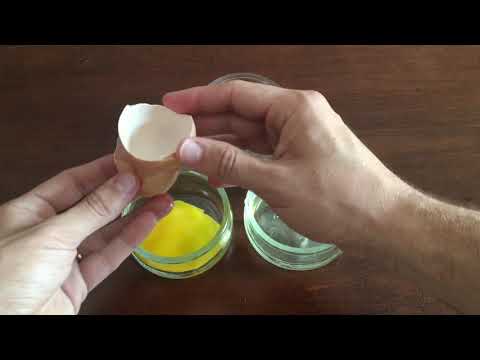 Lezione : Tempera all'uovo