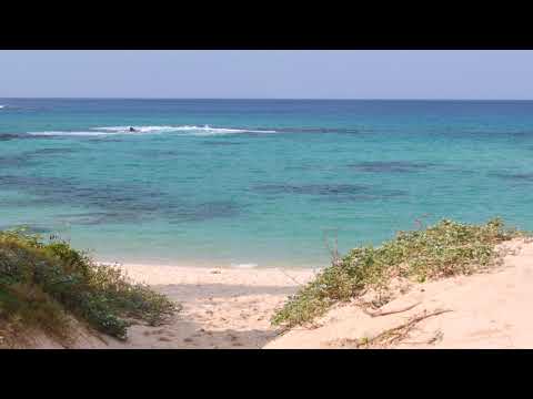 奄美の海（土盛海岸）