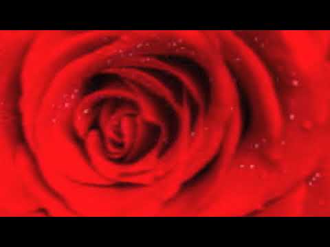 REMEMBER Film original songs trailer ft on SNL, America's Got Talent agt, music by Marina 2022