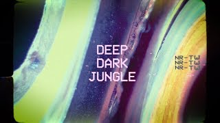 Nicky Romero &amp; Teamworx - Deep Dark Jungle