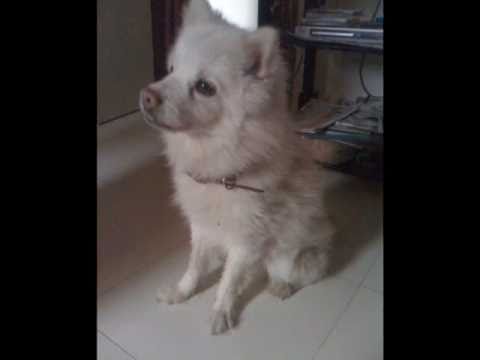 my real friend,my life jyonti..........