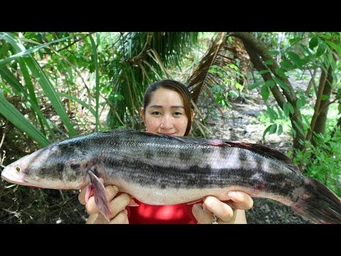 Yummy Giant Snakehead Fish Grilling With Mango Pickle - Eating Delicious - Cooking With Sros Video