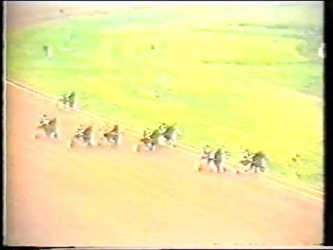 Reportage in het zweeds van  Ideal du Gazeau